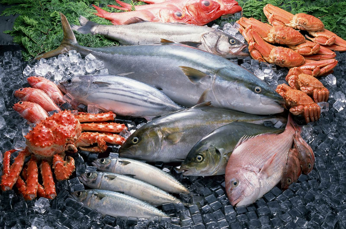 Jika Ingin Langsing Makan Ikan, Telur Dan Daging