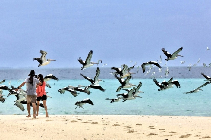 Pantai Ngurtafur, Sepenggal Keindahan di Maluku