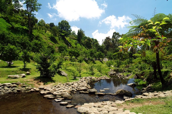 Hari Ini, Masuk Kebun Raya Cibodas Gratis!