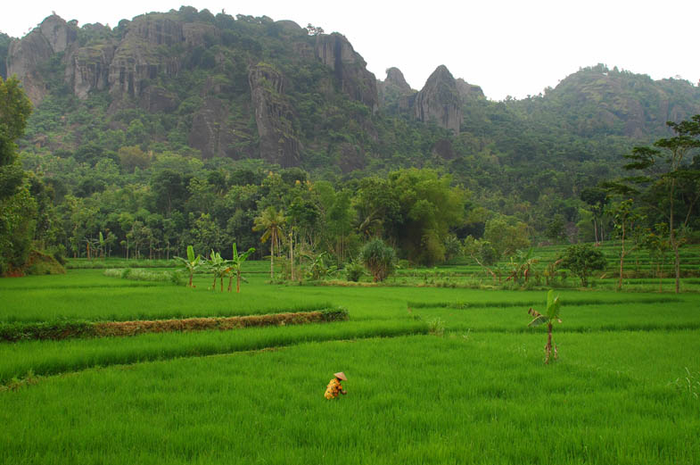 Bukit Nglanggeran:  Kutukan Dalang bagi Yang ?Nglangger?