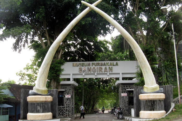 Museum Sangiran, Menyusuri Jejak Manusia Purba