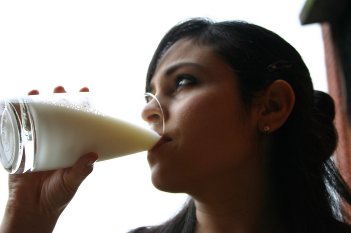 Susu Sapi Menggemukkan?