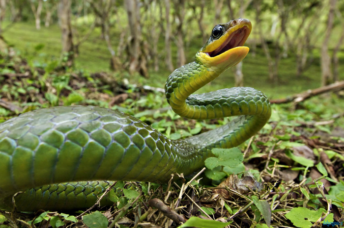 Ularda pantyhose jinsiy aloqa