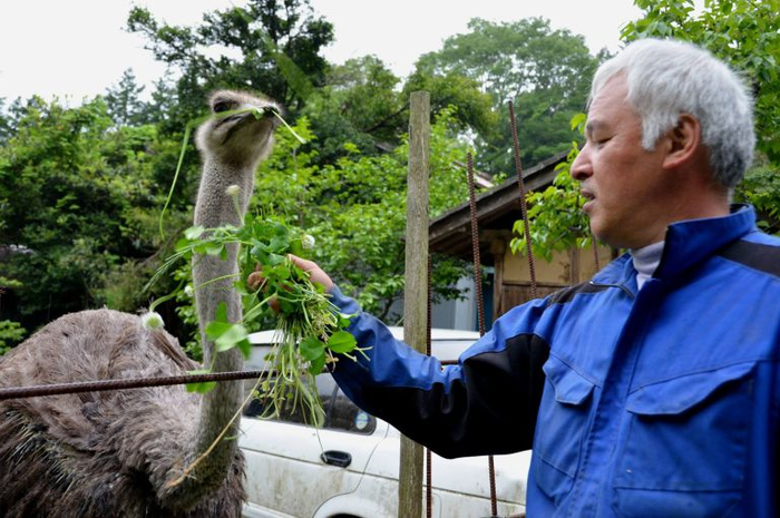 Naoto Matsumura, Orang Terakhir di Fukushima yang Memberi Makan Semua Binatang yang Tertinggal Pascatsunami Jepang 2011