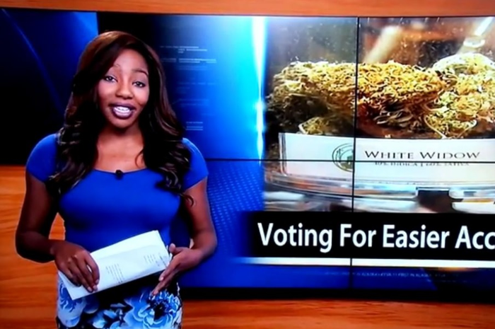 Reporter KTVA Charlo Greene Ucapkan 'F*ck it, I quit!' dalam Sebuah Siaran Langsung