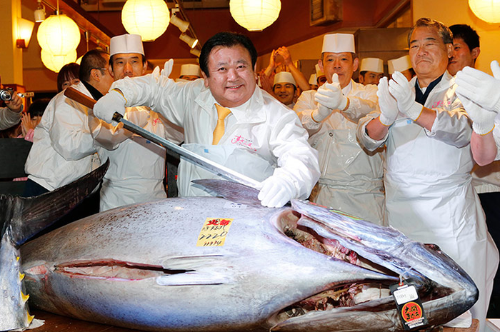 Inilah Ikan Tuna Termahal di Dunia