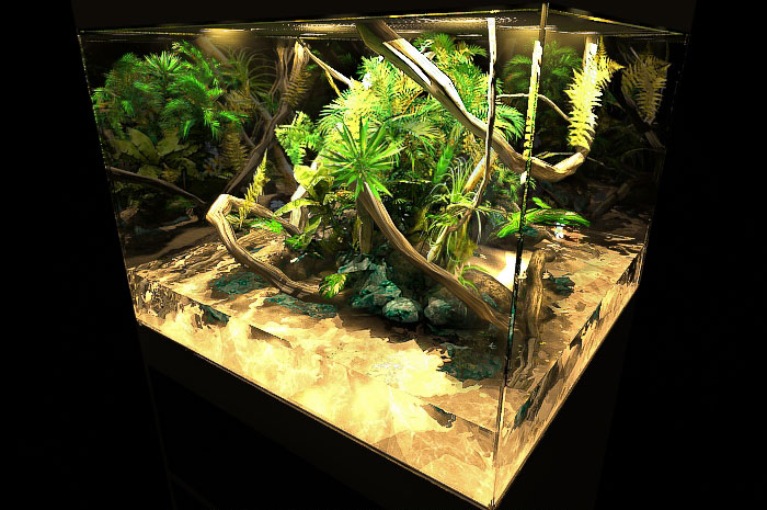 Panduan Membuat Paludarium