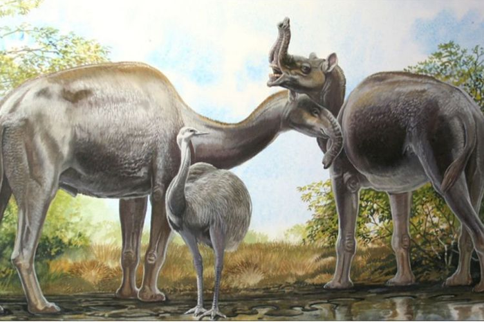 Inilah hewan yang membuat pusing Charles Darwin