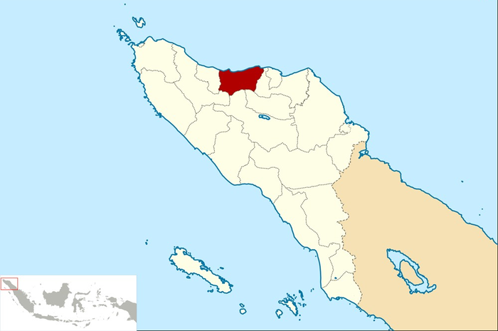 Tergugah Citarasa Mi Tiau Bireun