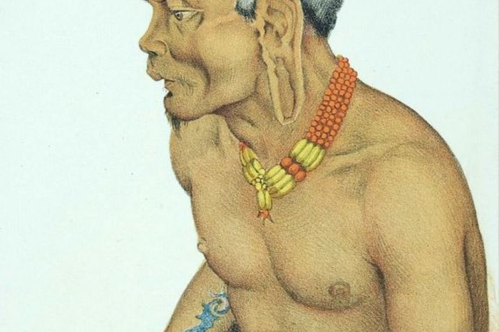 Sibau Mobang, lelaki berusia sekitar 50-an tahun, kepala suku Dayak Tring yang mempunyai tradisi kanibal. Litografi dari 'The Head Hunters of Borneo yang terbit pada 1881. Buku karya Carl Alfred Bock itu  berhias 37 litografi dan ilustrasi, umumnya tentang orang dan budaya Dayak.