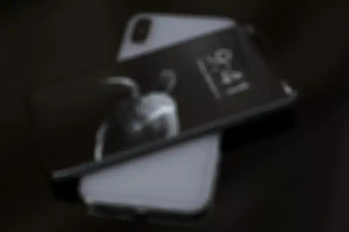 iPhone X