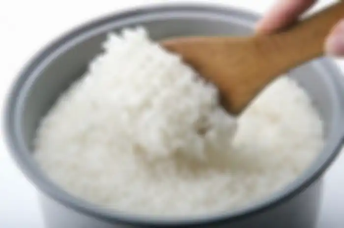 solusi agar nasi tak cepat kering dan basi