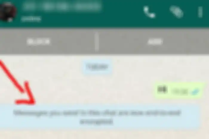 enkripsi di WhatsApp