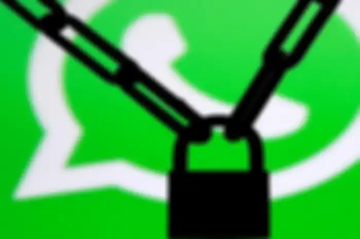 sadap whatsapp