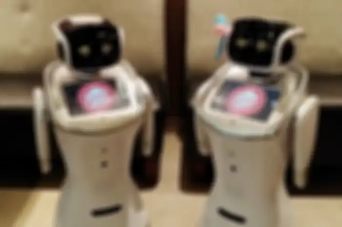 Robot PizzaHut  - Sammy Sally