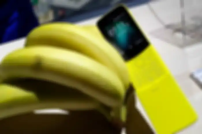 Spesifikasi Nokia 8110 4G