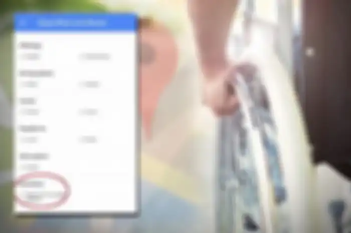 Google Maps untuk pengguna kursi roda