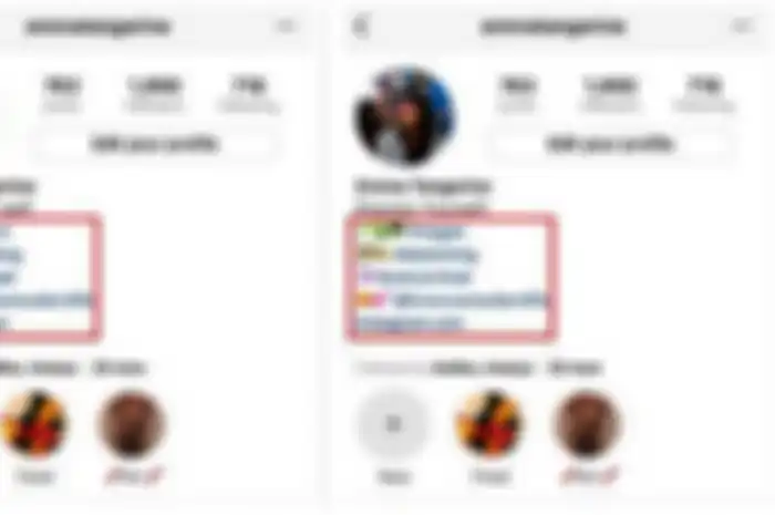 Fitur baru instagram