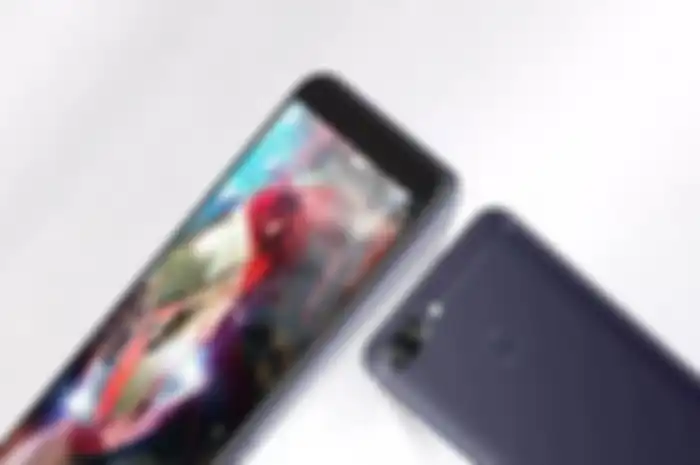 Asus Zenfone Max Plus M1