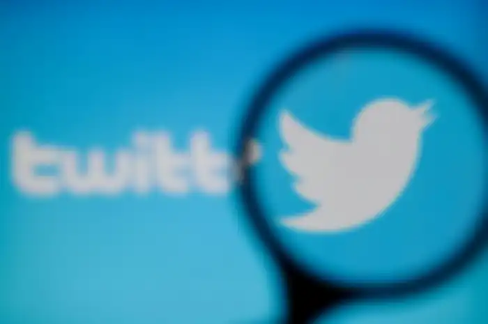 A Twitter logo is seen on a computer screen on November 20, 2017. (Photo by Jaap Arriens/NurPhoto vi