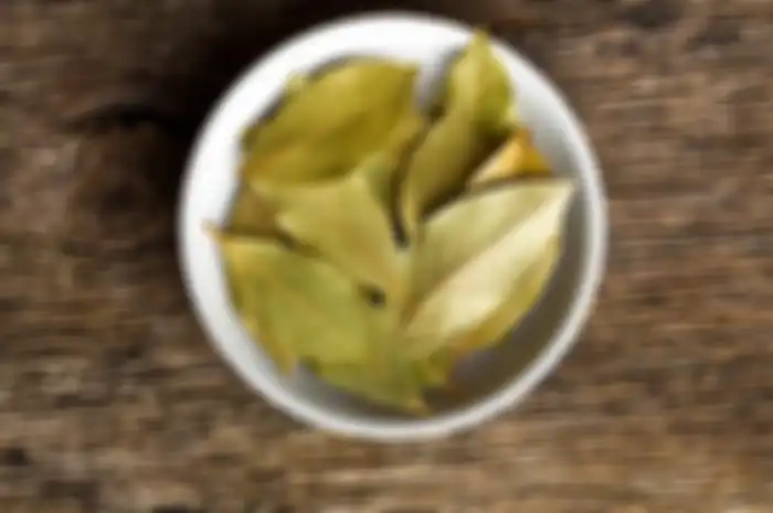 Manfaat daun salam