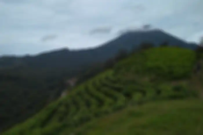 Gunung Slamet