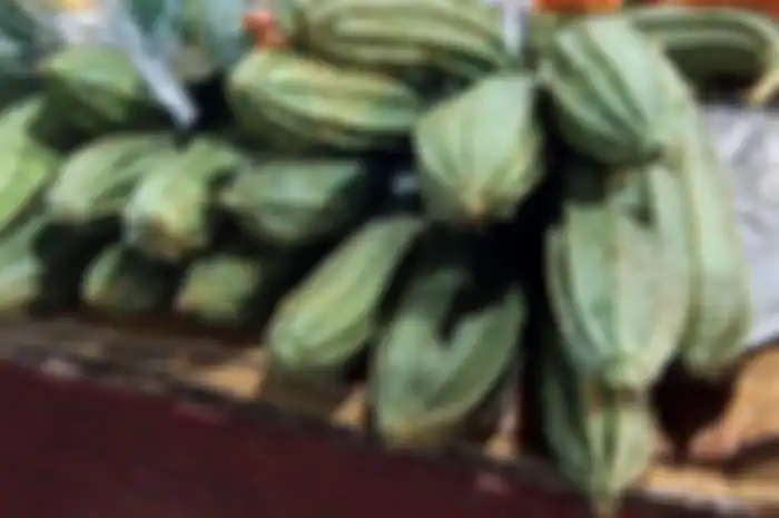 Sayur Oyong