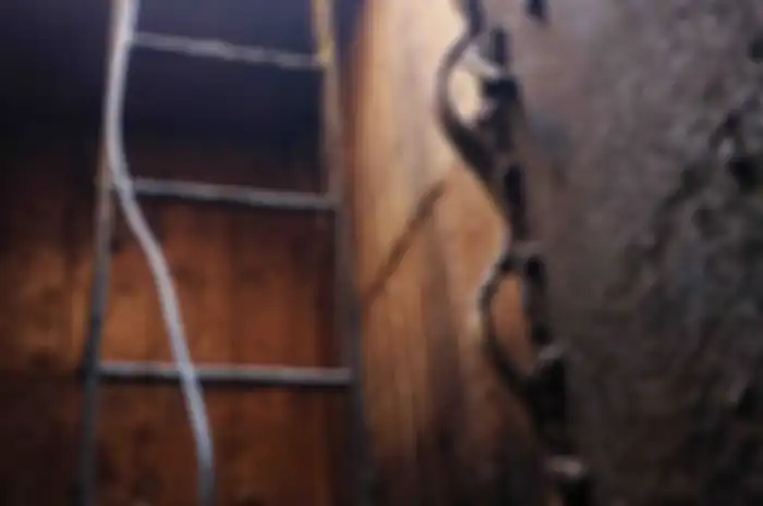 Tangga yang ada di bunker