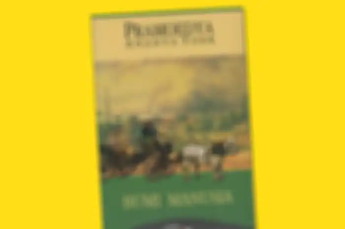 Novel Bumi Manusia 