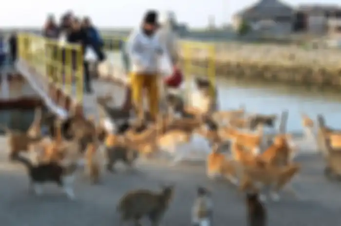 Pulau Kucing di Ishinomaki, Miyagi, Jepang