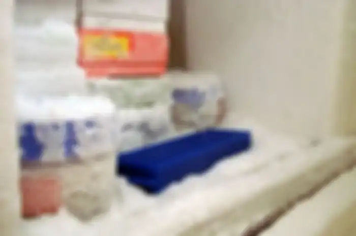 Jangan diremehkan, bunga es dalam freezer bisa berbahaya.