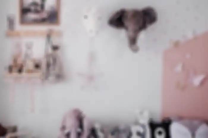 Kamar Alita