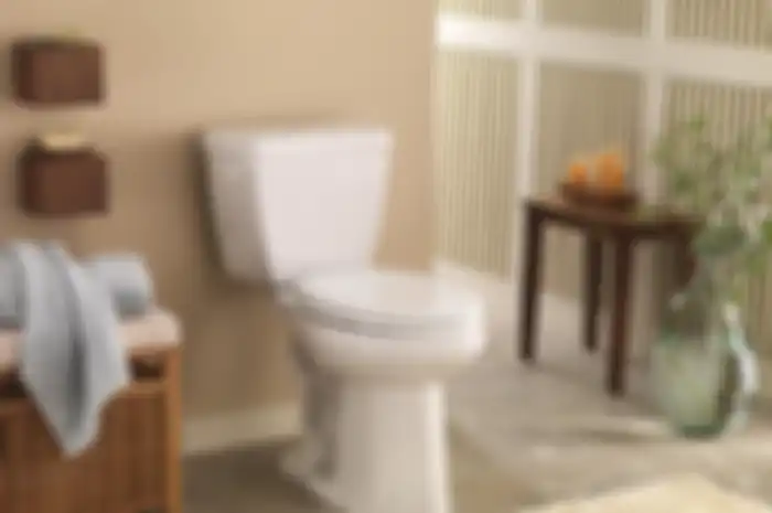 toilet | dok. hgtv.com