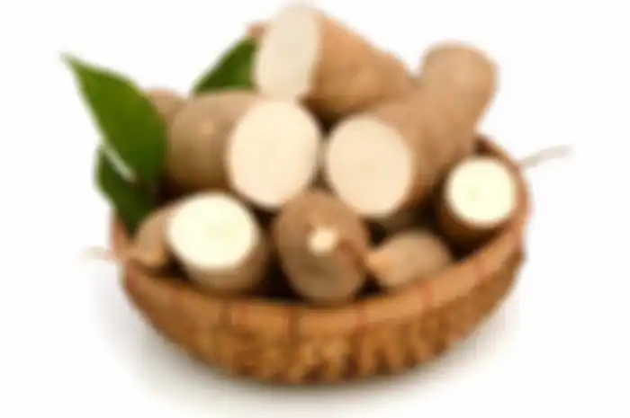 Singkong