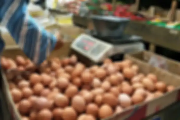 Harga Sembako telur naik