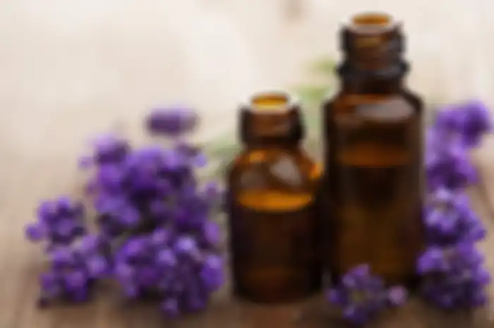 Yuk Ciptakan Aroma Khas di Rumah, Lakukan 5 Tips Mudah Berikut!