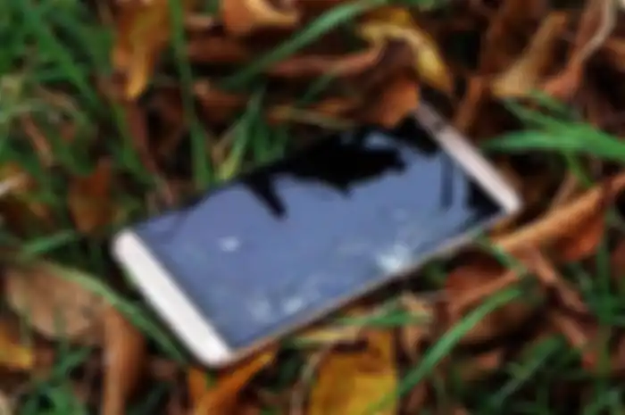 Smartphone