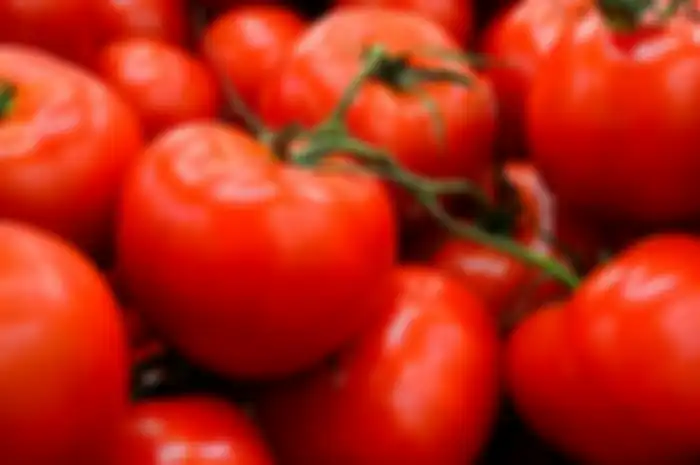 Tomat Merah