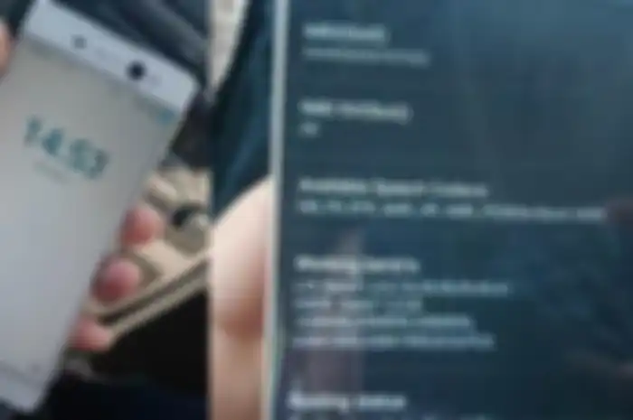 Ilustrasi tampilan Angka IMEI pada Ponsel