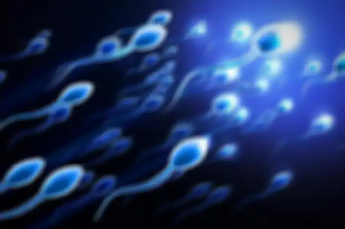 ilustrasi sperma