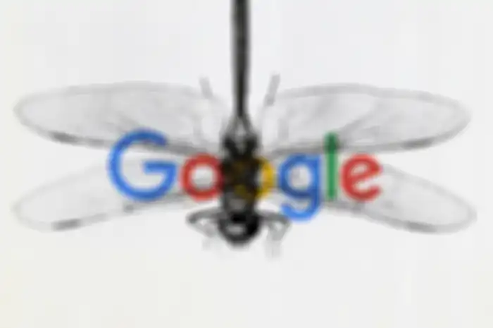 Dragonfly Google