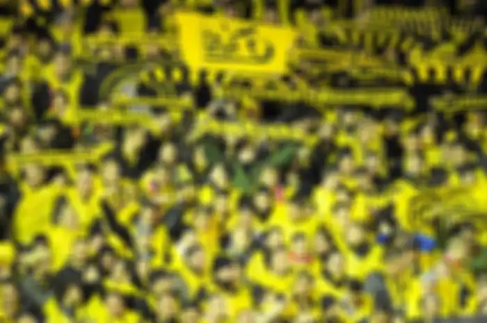 Suporter Young Boys