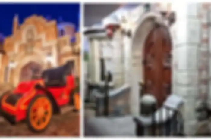 pria yang mengubah basementnya menyerupai Disneyland