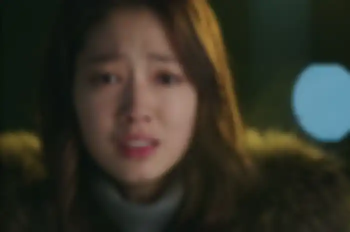 Park Shin Hye