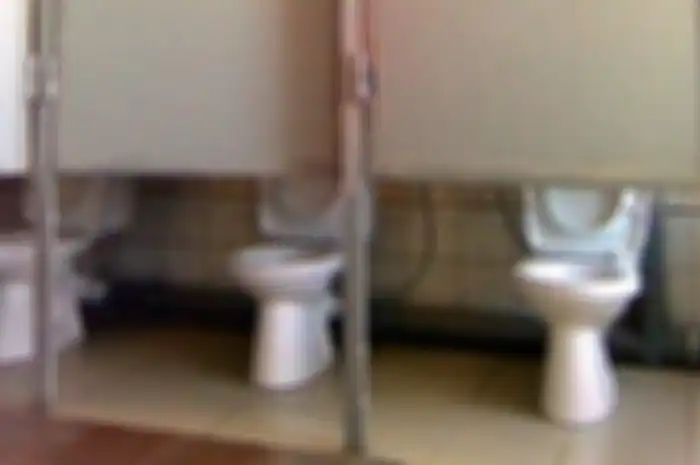 Ilustrasi Toilet dengan Desain Unik
