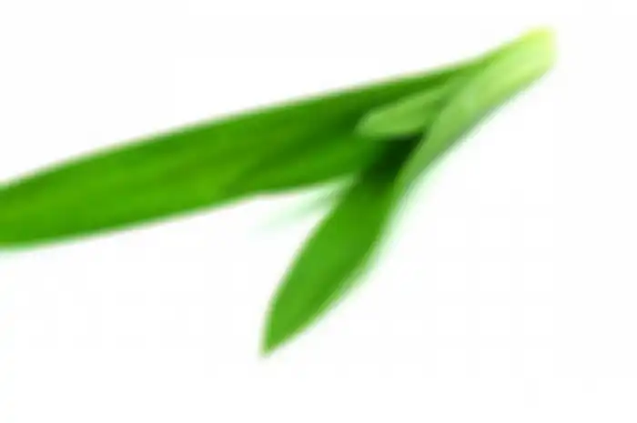 Iris Tipis 3-5 Lembar Daun Pandan di Kamar Mandi, Ajaib, Ini yang Akan Terjadi!
