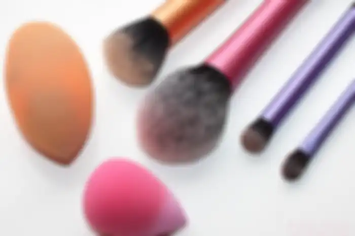 makeup brush dan sponge