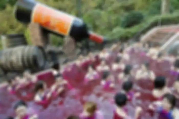 Beaujolais Nouveau Spa, Jepang
