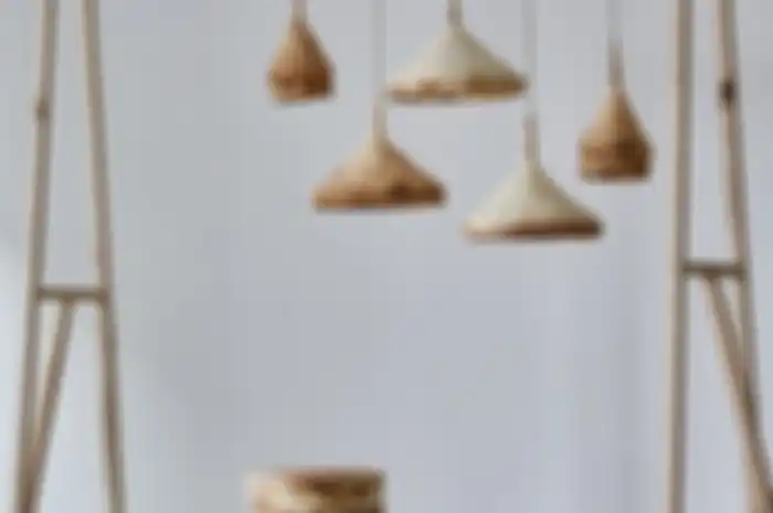 Furnitur Alami dari Miselium Jamur, Cocok untuk Hiasi Interior Rumah