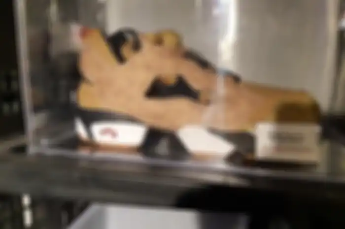 Reebok Instapump Fury Le x SBTG